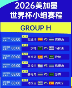 2026世界杯比赛瞬间 运动员激烈拼抢